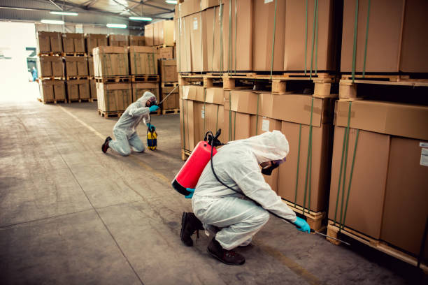 Best Pest Inspection Near Me  in Marion, KS
