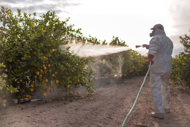 Best Pest Control Near Me in Marion, KS