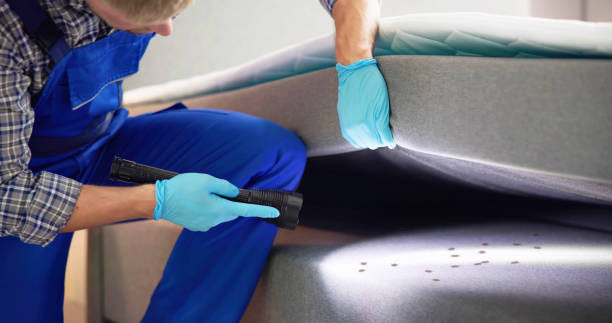 Best Pest Prevention Services  in Marion, KS