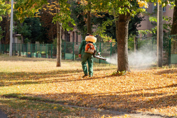 Best Pest Inspection Near Me  in Marion, KS