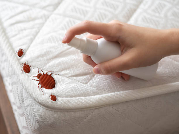 Best Flea Control Services  in Marion, KS