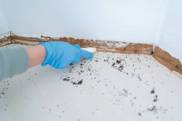 Best Commercial Pest Control Services  in Marion, KS