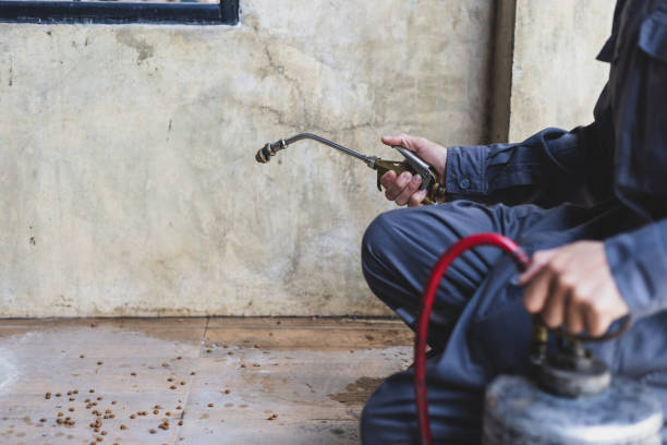 Pest Prevention Services in Marion, KS